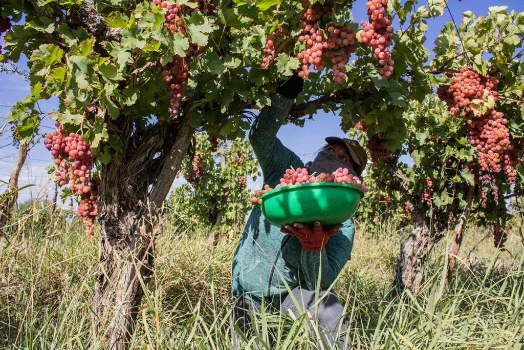 fiambala-la_ruta_del_litio11-1024x683