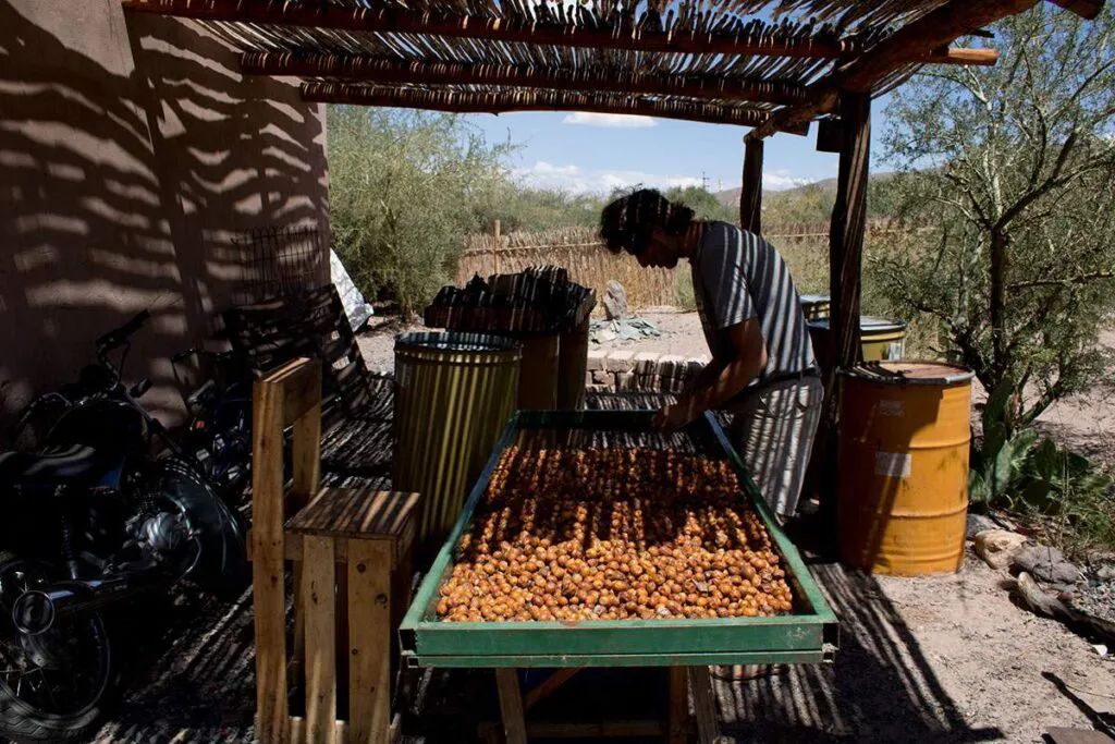 fiambala-la_ruta_del_litio12-1024x683