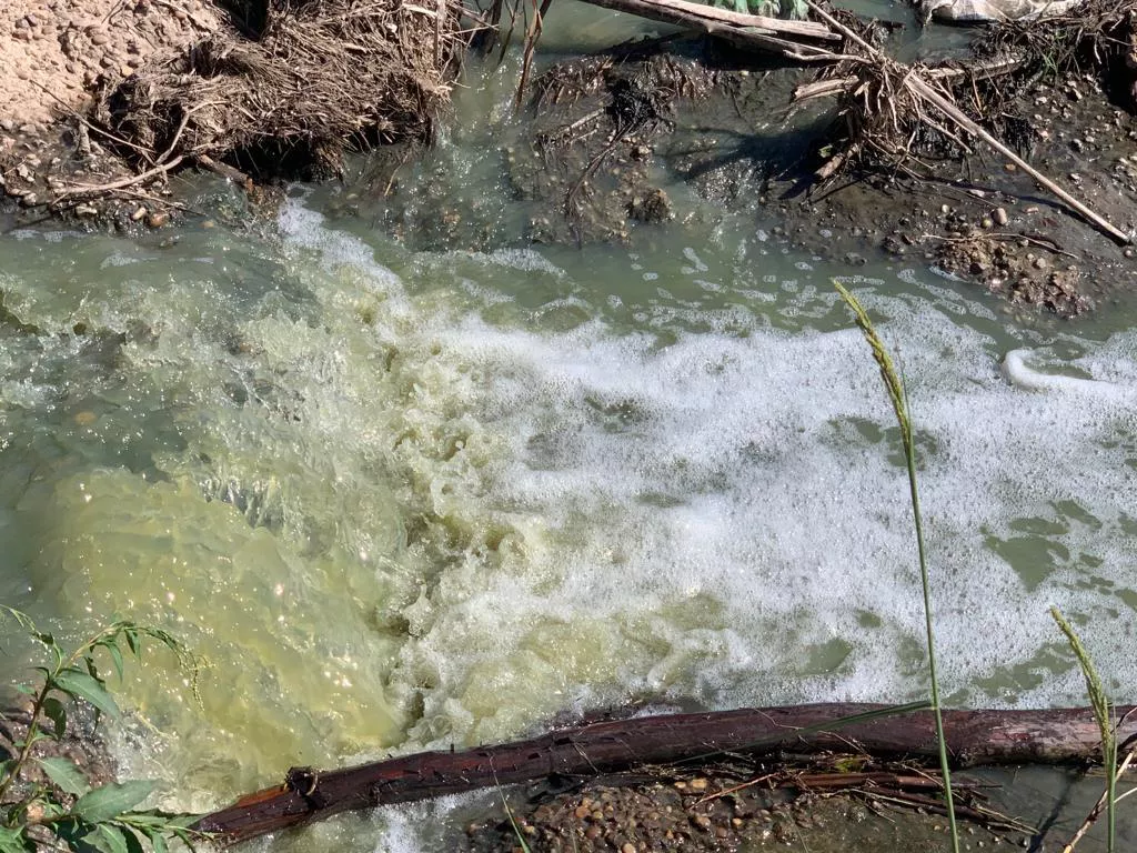 contamina-san-jose-3