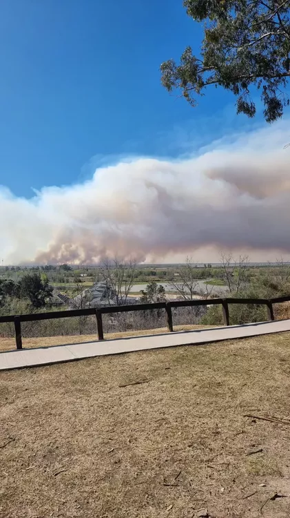 WhatsApp Image 2022-08-20 at 2.49.54 PM