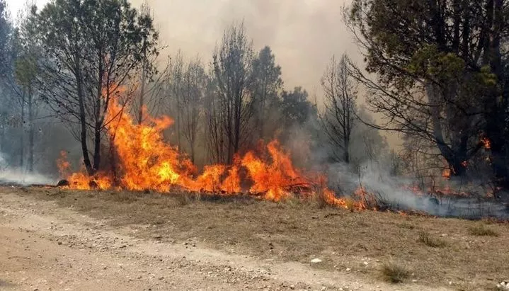 jujuy incendios