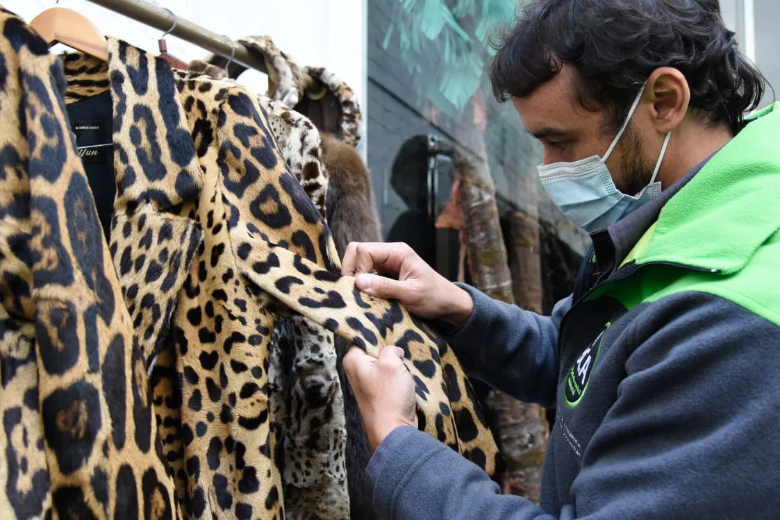 Ambiente secuestró carteras, botas y tapados de piel de fauna silvestre a la venta  (12)