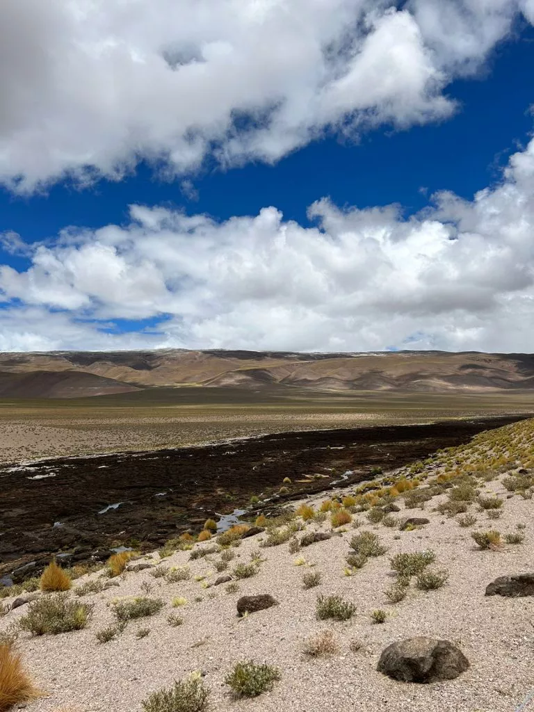 IMG-20230208-WA0036-768x1024