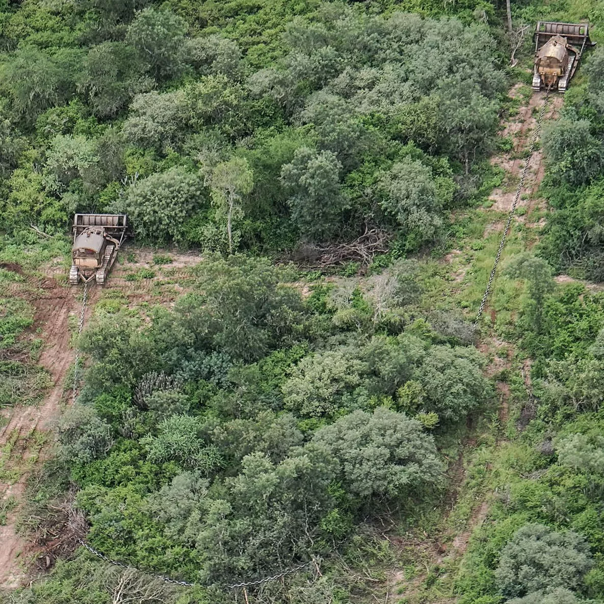 5209a8b8-cuchuy-2018-e1549985099712 - copia