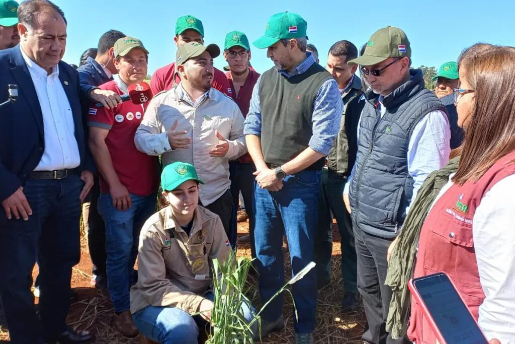 trigo_transgenico_hb4_paraguay_07-1024x683