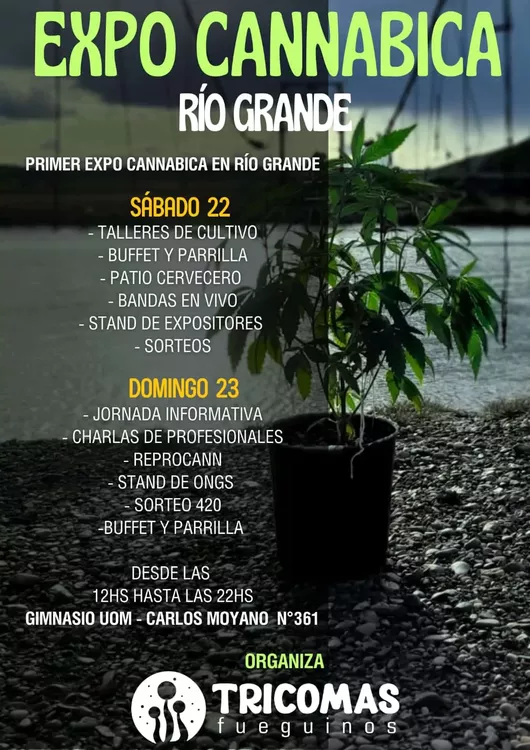 whatsapp-image-2023-04-12-at-17.12.52-1