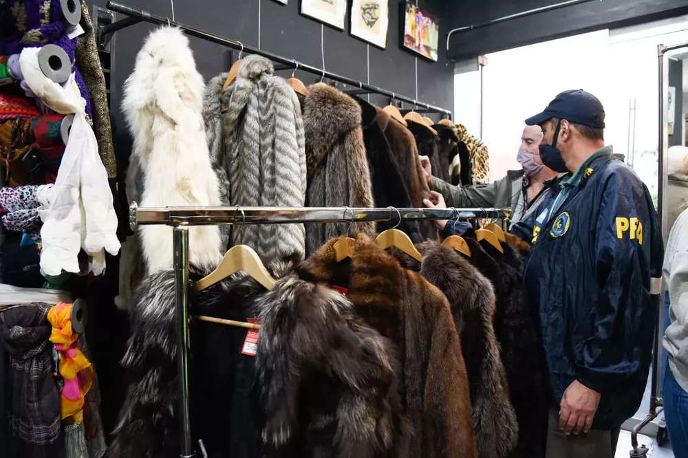 Ambiente secuestró carteras, botas y tapados de piel de fauna silvestre a la venta  (9)