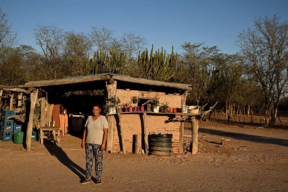 4452_32mr6vwhighresjpg_20221108162717