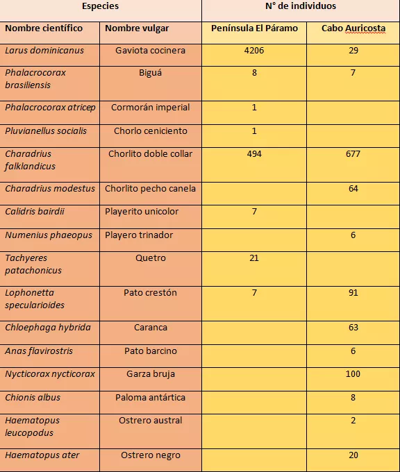 tabla-total