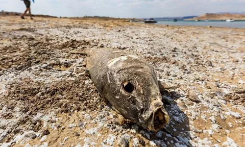 EEUU enfrenta la contaminación de lagos y ríos