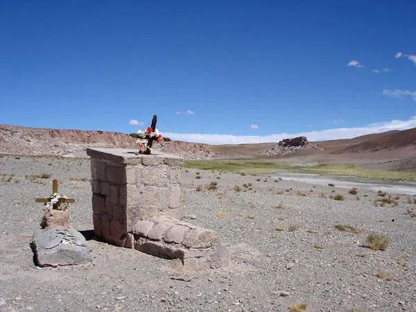 WhatsApp Image 2024-08-24 at 2.42.00 PM