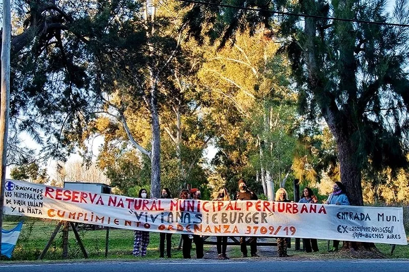 tigre 2