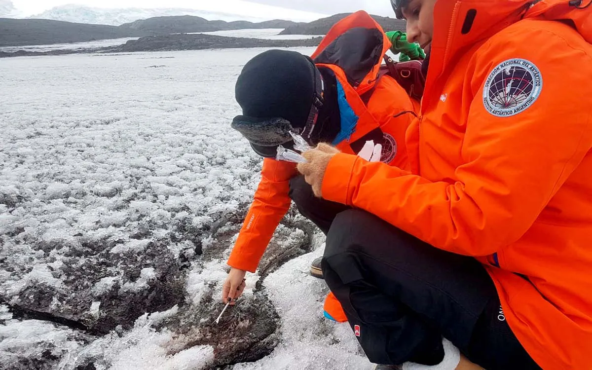 argentinos-cientificos-antartica-microorganismos-plasticos-hidrocarburos