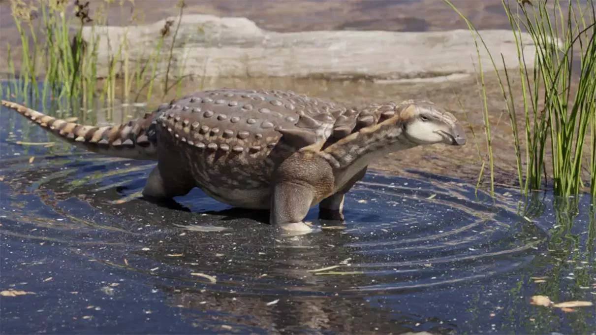 Patagopelta-cristata