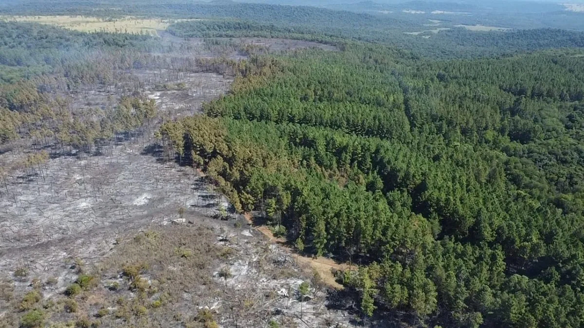 incendios-en-misiones-1