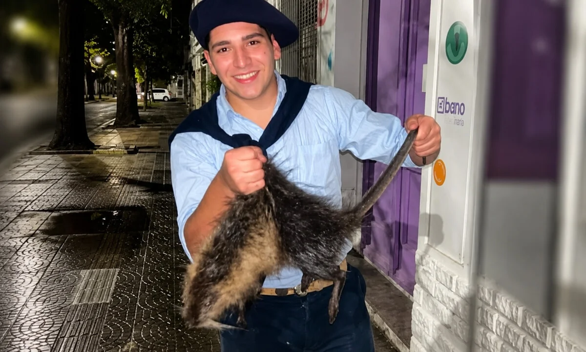 maltratoanimal