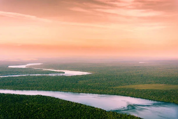 istockphoto-1027885612-612x612
