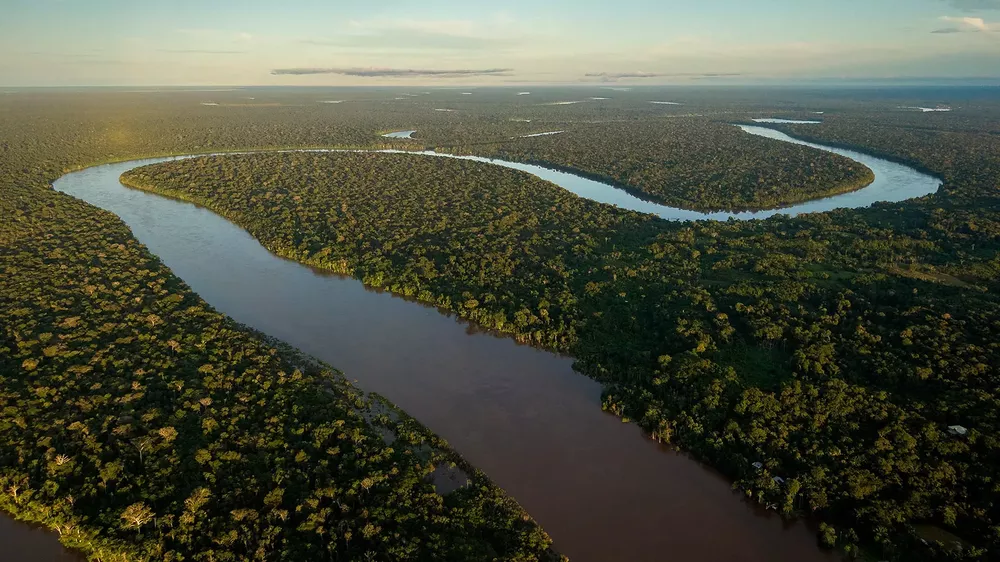 amazonas