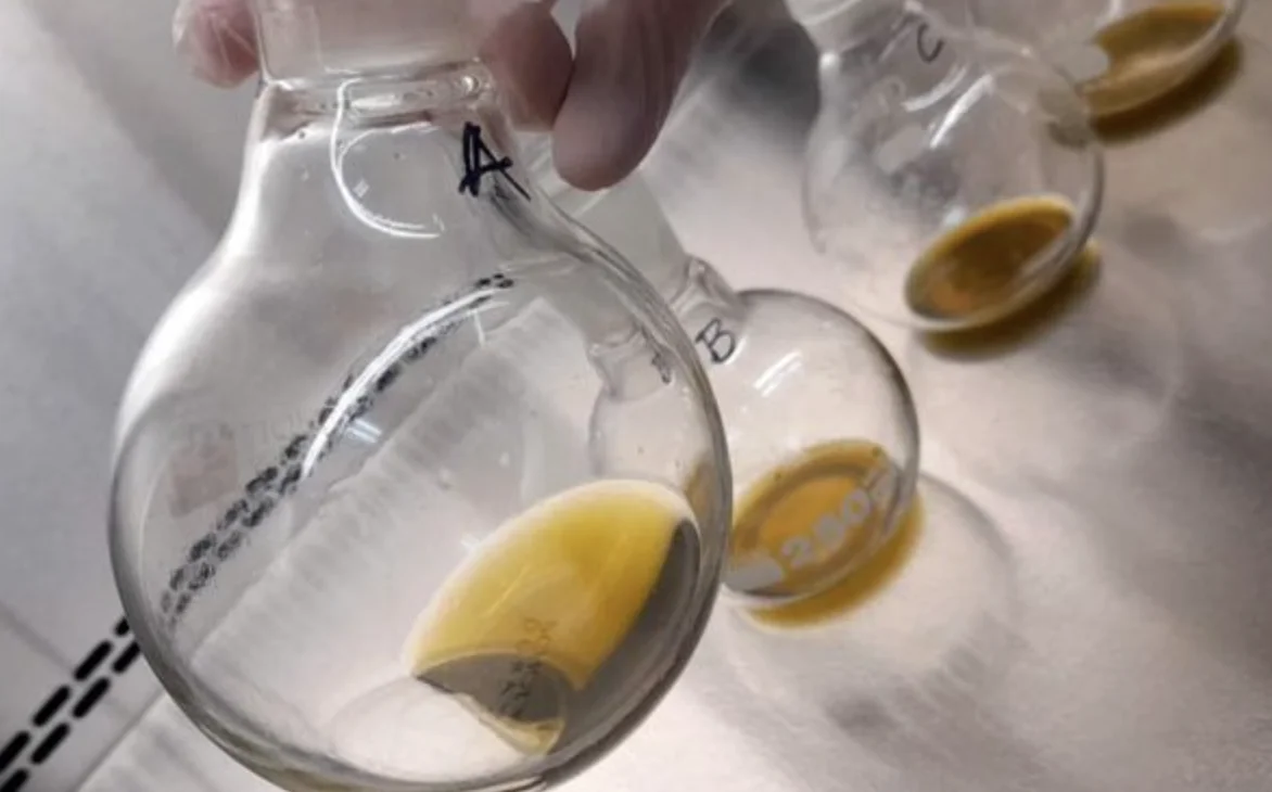 Captura de pantalla 2026-04-05 a la(s) 21.43.27