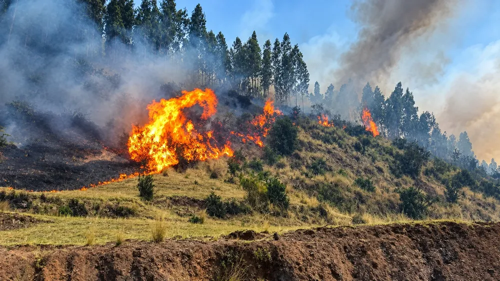 Incendio forestal en la ladera montañosa
