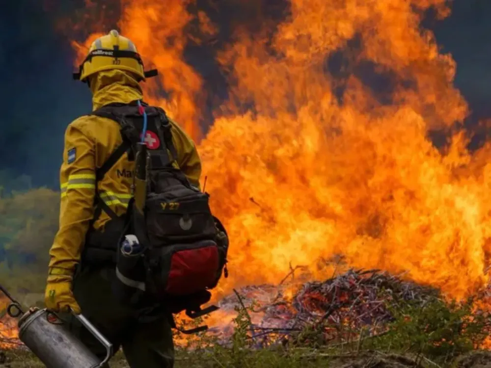 Diseno-sin-titulo-2025-01-09T210300.335 (1)