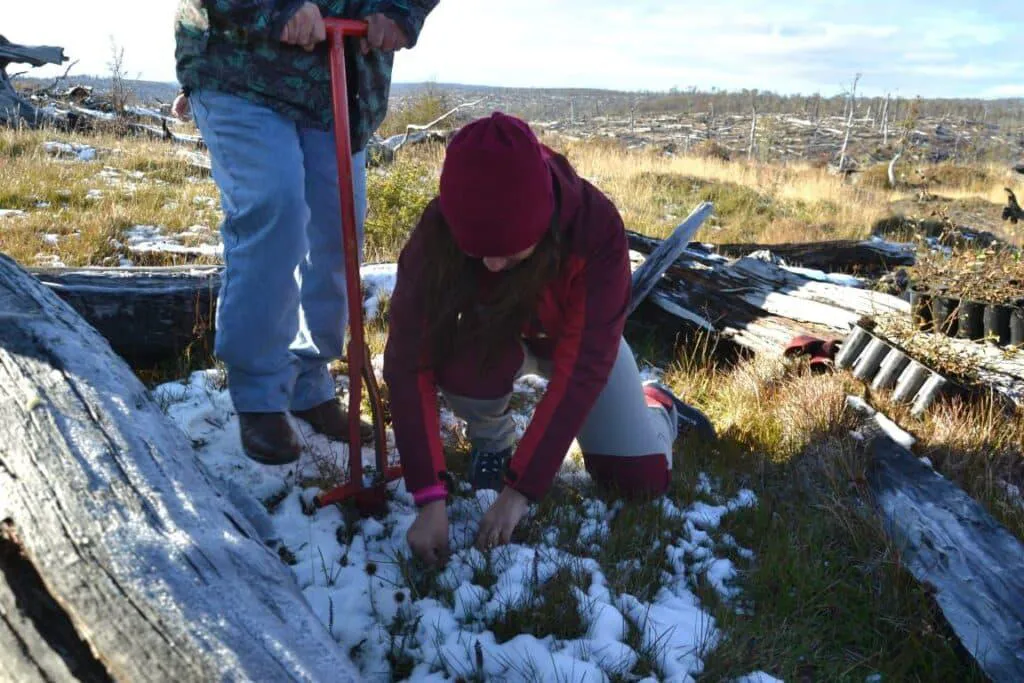 multimedia.normal.9d4affc23c9bc008.Rm9yZXN0YWwxLTEwMjR4NjgzX25vcm1hbC5qcGVn