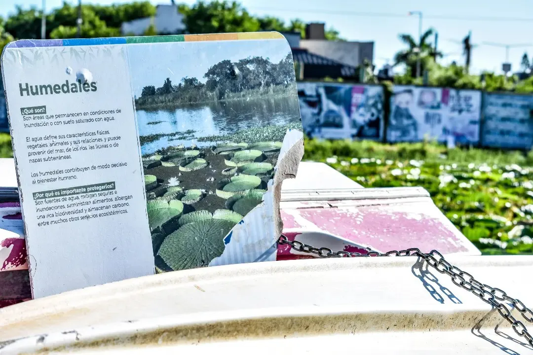 419940998_886236766314909_3706142485502014028_n