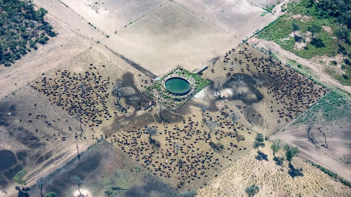 9c486fcc-0567-4477-8f59-ded241701062_16-9-discover-aspect-ratio_default_0