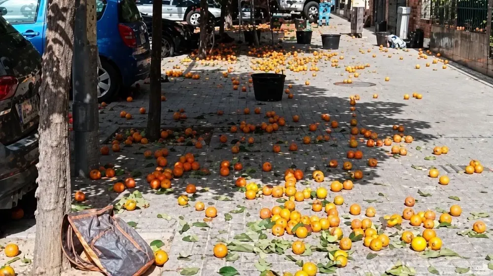 san pedro