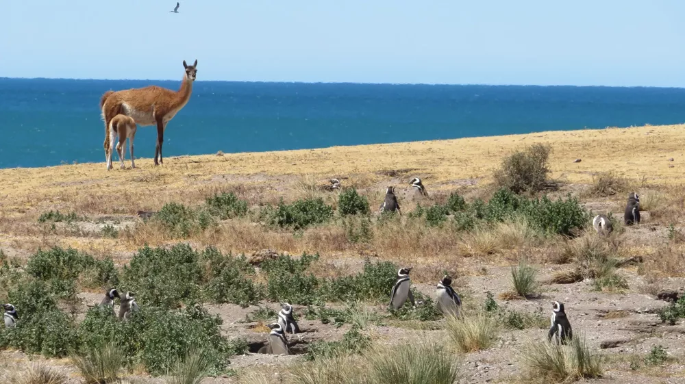 islote_lobos_ph_parquesnacionales_05_1