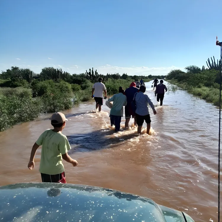 652710053_1245002454468287_3892465979670112750_n (1)