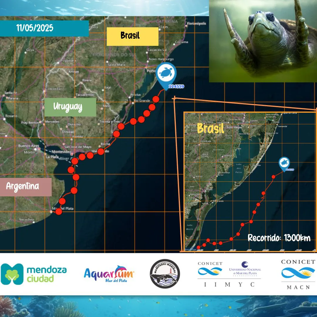 497114065_18462556123075295_7619462071542049314_n