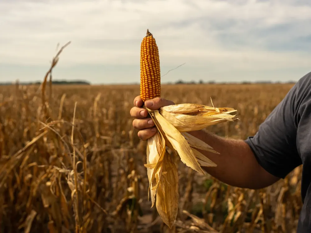 DE4H7RF5MNDRLAOHH6A7M5E6WQ