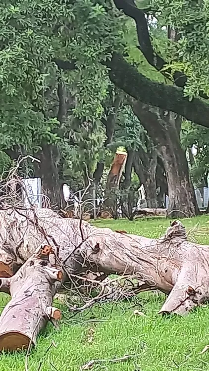 WhatsApp Image 2024-03-21 at 11.00.04 PM