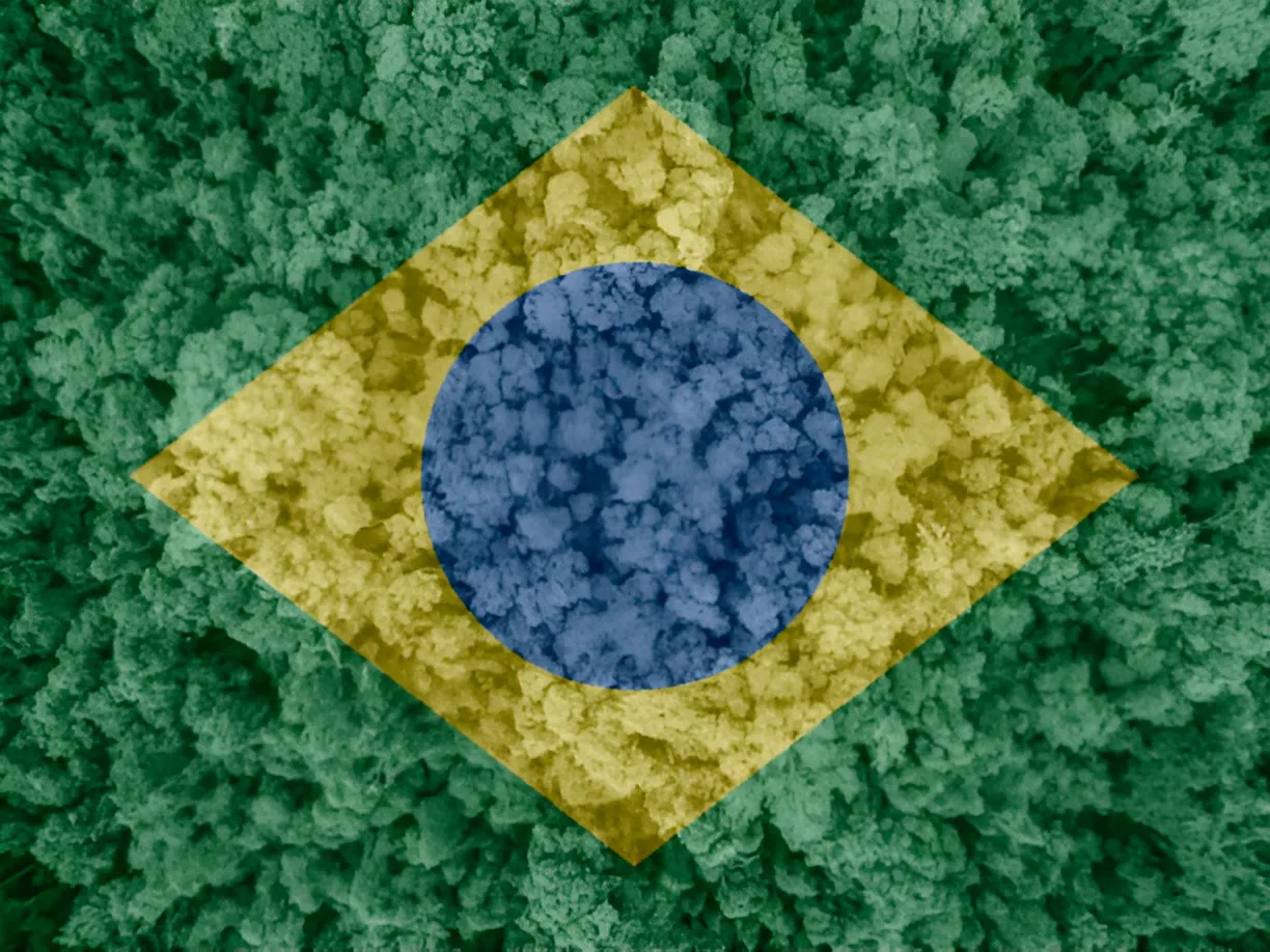 Brasil prepara debut de bono ASG en próxima venta internacional