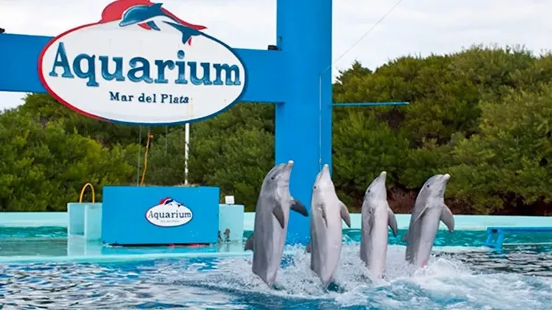 aquarium-mar-del-plata