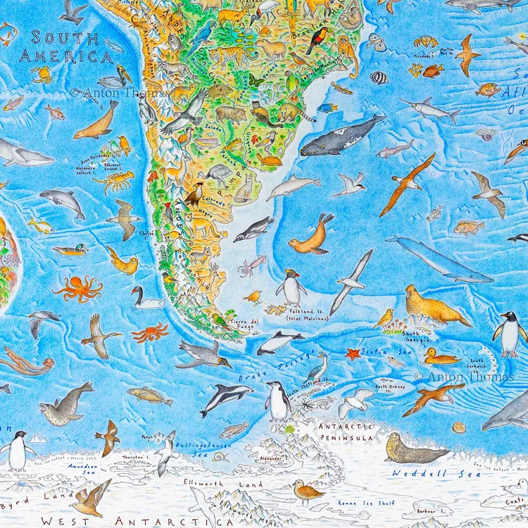 wild-world-map-south-america-anton-thomas