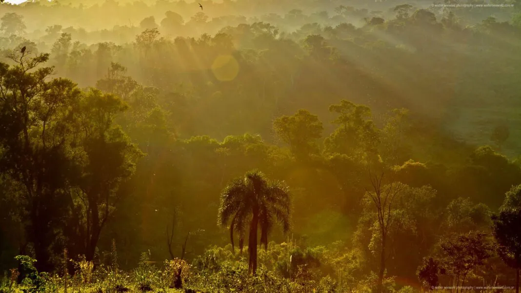 misiones-lr-1068x601