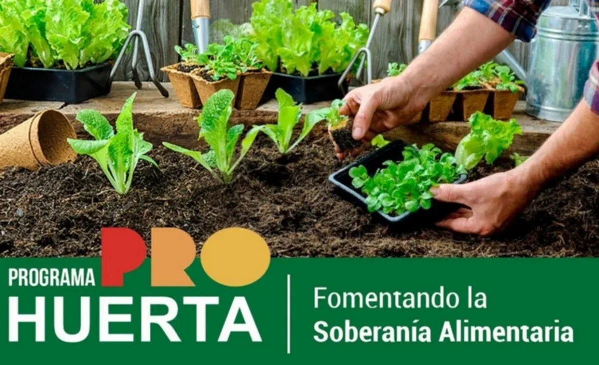 pro huerta