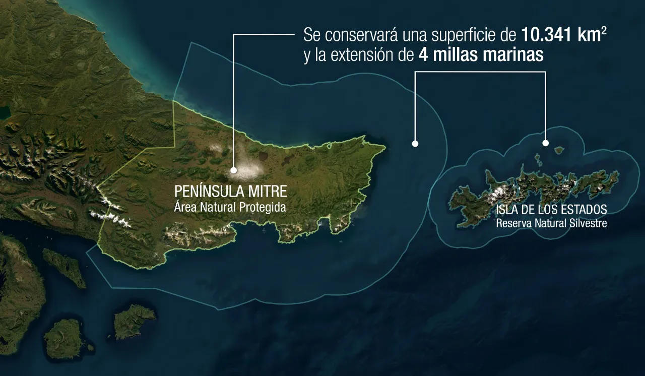 WhatsApp Image 2022-12-06 at 15_06_29 (1)