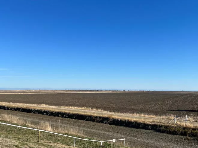 fc484409-2c35-4f55-bcad-789988e20055-Fallow_rice_field_from_Sean_Doherty