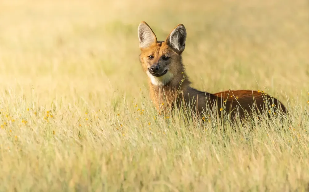 WhatsApp-Image-2024-04-29-at-12.21.39