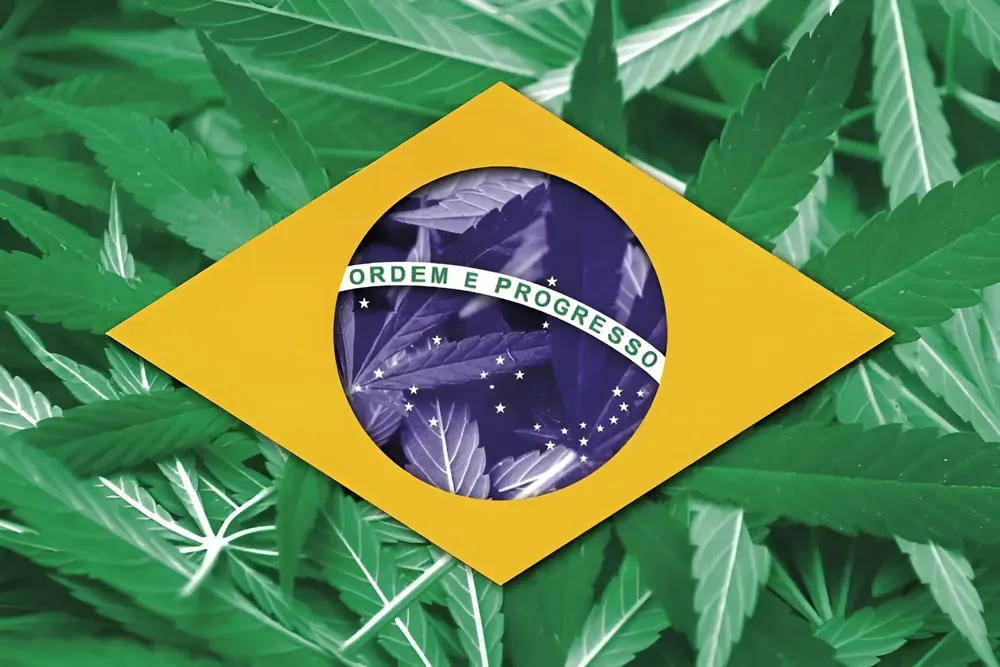 Brasil cannabis (1).jpg