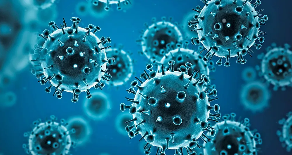 H1N1