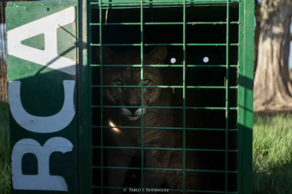 whatsapp_image_2024-11-21_at_09.17.33