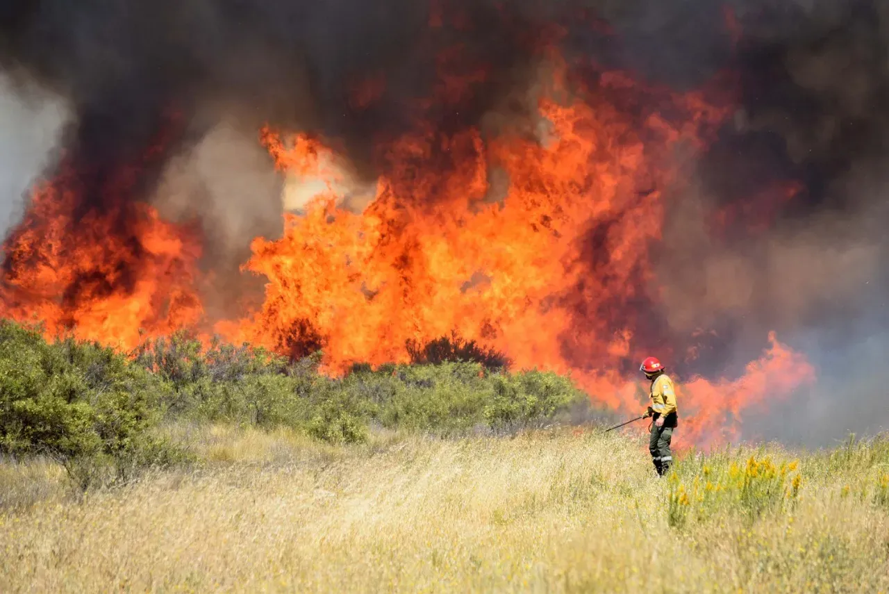 incendios rio negro