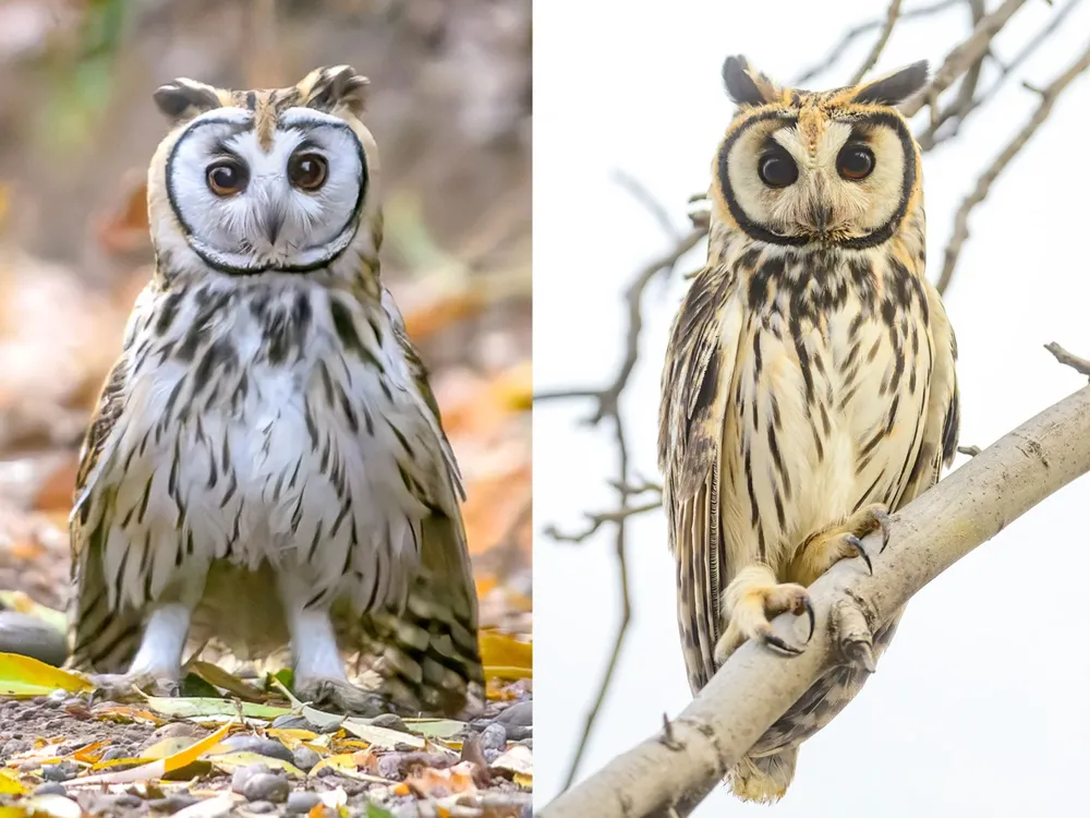 WhatsApp-Image-2026-03-26-at-15.58.17-1-1