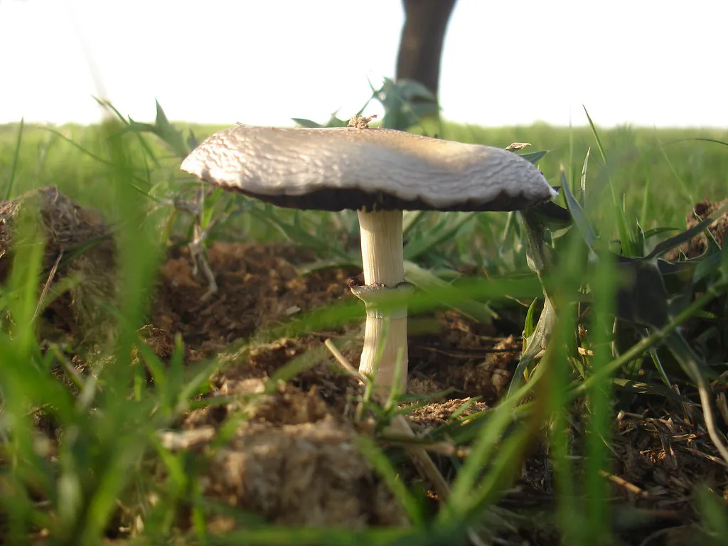 3446196040_37cf45f568_b