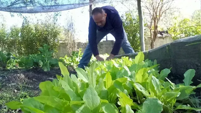 entre ruis huerta
