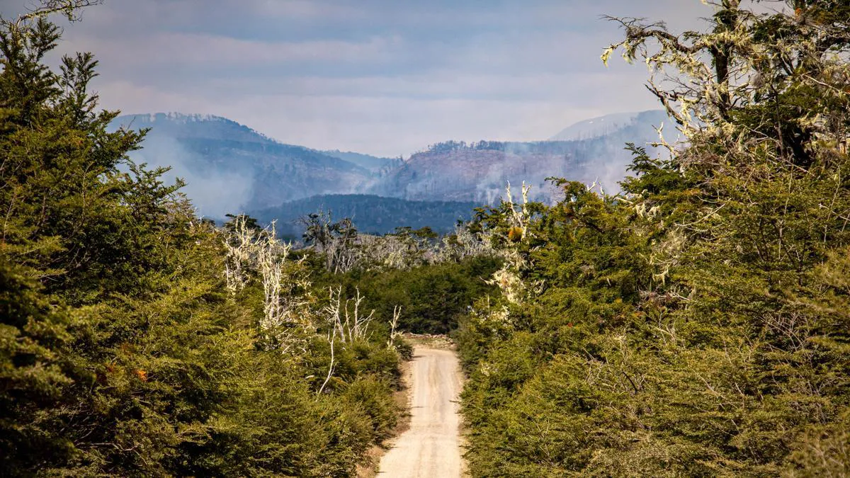 063adf63-22d9-4004-b5d8-d23b48d4c7f8_16-9-discover-aspect-ratio_default_0